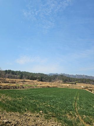 차춘석 님의 기타작물 · 영농일지 작성글 사진