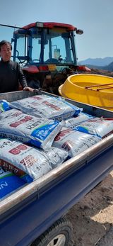 팜모닝 옥수수·영농일지 게시글 이미지