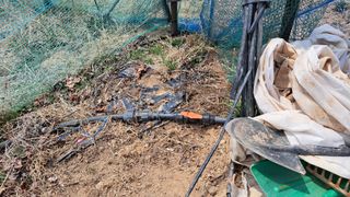 조연만님의 콩 · 영농일지 작성글 사진