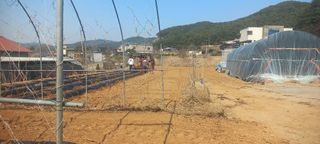 강원도농산물님의 콩 · 영농일지 작성글 사진