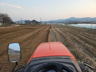 녹우농장님의 콩 · 영농일지 작성글 사진