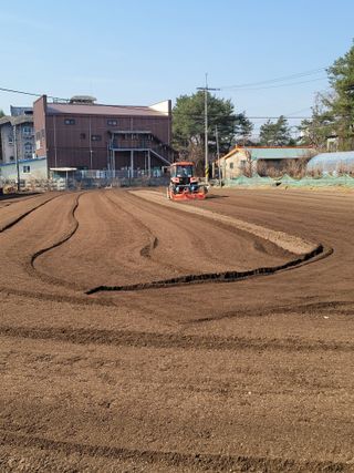 정지덕님의 감자 · 영농일지 작성글 사진