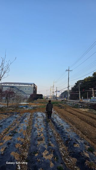 최연태님의 기타작물 · 영농일지 작성글 사진