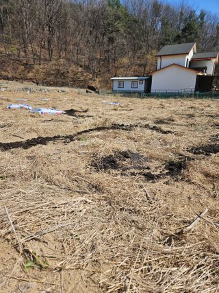 드라곤해드님의 기타작물 · 영농일지 작성글 사진