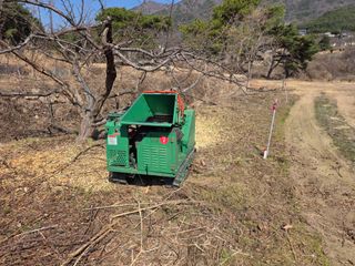 콩7431(팔공산)님의 자두 · 영농일지 작성글 사진