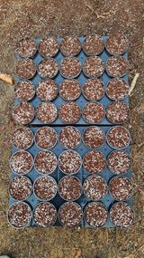 권혁렬님의 작성글 사진