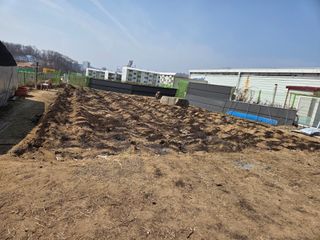 박병철님의 옥수수 · 영농일지 작성글 사진