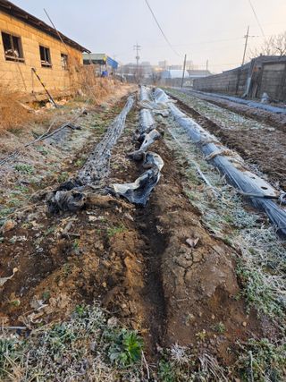 이광님의 기타작물 · 영농일지 작성글 사진