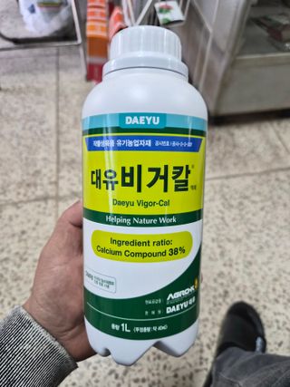 열혈농부님의 배추 · 영농일지 작성글 사진