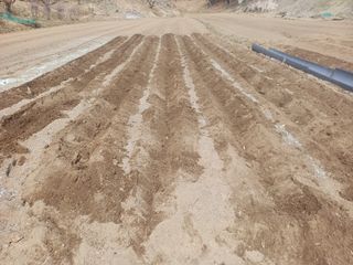 인산님의 파 · 영농일지 작성글 사진