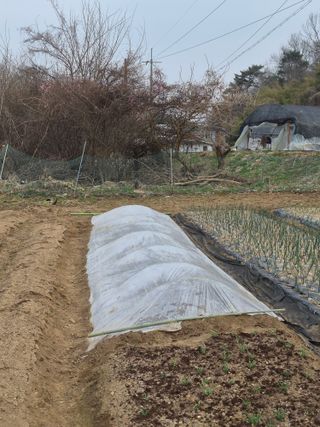 Kns4324님의 기타작물 · 영농일지 작성글 사진