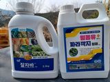 팜모닝 복숭아·영농일지 게시글 이미지