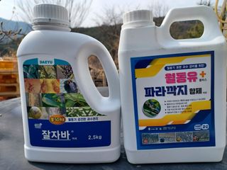 우분투농장님의 복숭아 · 영농일지 작성글 사진