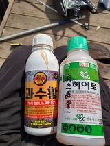 팜모닝 사과·영농일지 게시글 이미지