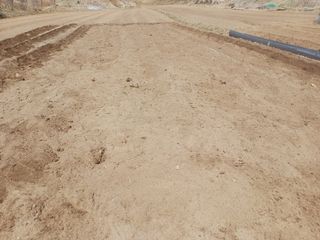 인산님의 파 · 영농일지 작성글 사진