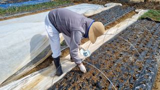 김지철님의 기타작물 · 영농일지 작성글 사진