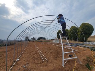 이용찬 열매마농원님의 기타작물 · 영농일지 작성글 사진