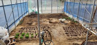 귤8352님의 블루베리 · 영농일지 작성글 사진