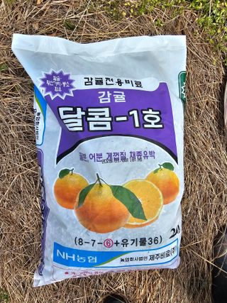 모래알님의 귤 · 영농일지 작성글 사진