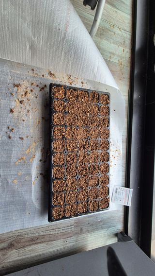 산수화풍님의 기타작물 · 영농일지 작성글 사진