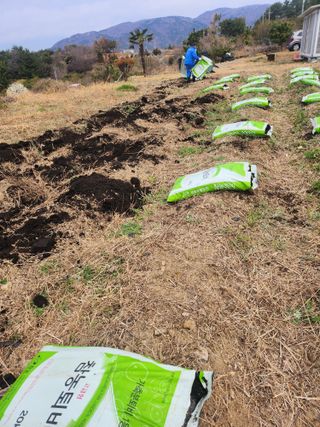 도깨비윤샘 님의 기타작물 · 영농일지 작성글 사진