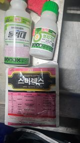 팜모닝 기타작물·영농일지 게시글 이미지