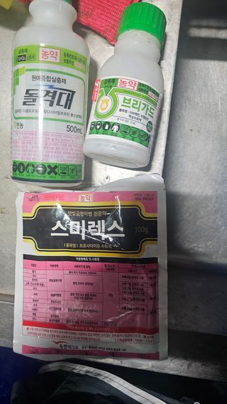kkk님의 기타작물 · 영농일지 작성글 사진