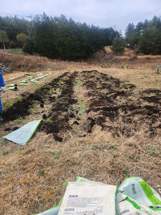 도깨비윤샘 님의 기타작물 · 영농일지 작성글 사진