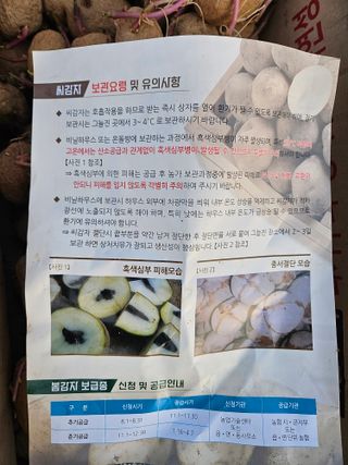 김해열님의 감자 · 영농일지 작성글 사진