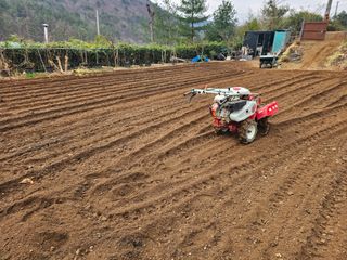 연모 자연의행복님의 기타작물 · 영농일지 작성글 사진
