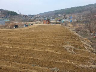 김석기님의 기타작물 · 영농일지 작성글 사진