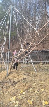 팜모닝 복숭아·영농일지 게시글 이미지