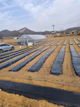 팜모닝 기타작물·영농일지 게시글 이미지