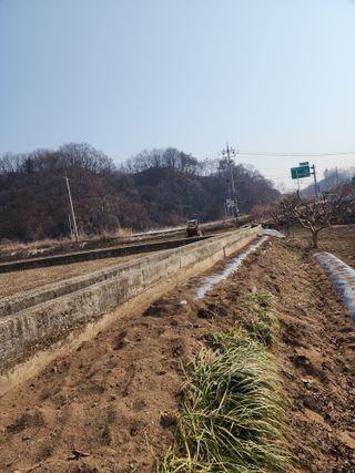 대운농원님의 기타작물 · 영농일지 작성글 사진