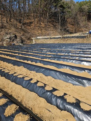 감7768님의 기타작물 · 영농일지 작성글 사진