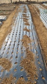 팜모닝 기타작물·영농일지 게시글 이미지