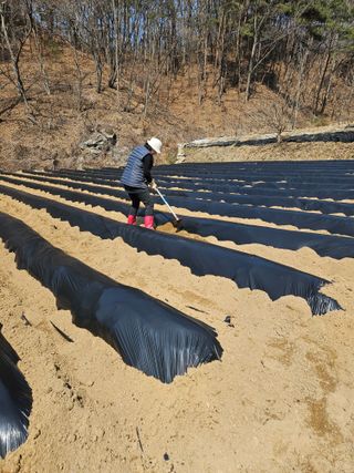 감7768님의 기타작물 · 영농일지 작성글 사진