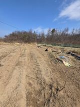 팜모닝 기타작물·영농일지 게시글 이미지