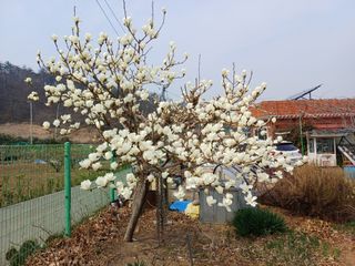 최정윤님의 기타작물 · 영농일지 작성글 사진