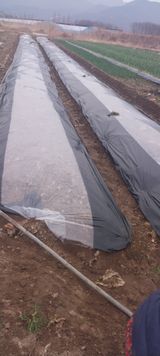 팜모닝 기타작물·영농일지 게시글 이미지