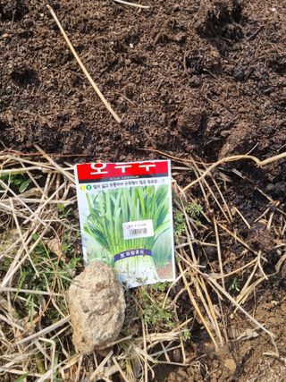 최기동님의 두릅 · 영농일지 작성글 사진