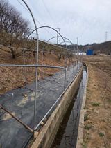 팜모닝 기타작물·영농일지 게시글 이미지