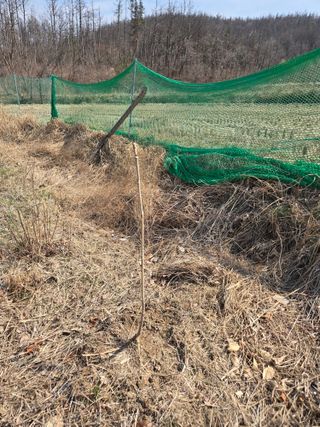 박현미님의 기타작물 · 영농일지 작성글 사진