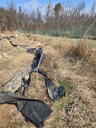 박현미님의 기타작물 · 영농일지 작성글 사진