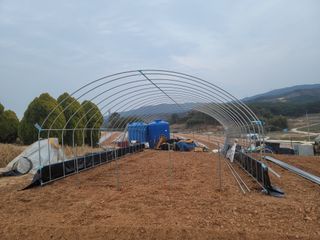 이용찬 열매마농원님의 기타작물 · 영농일지 작성글 사진