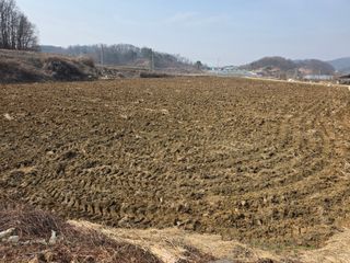 공주 음나무 농장님의 벼 · 영농일지 작성글 사진