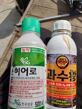 팜모닝 사과·영농일지 게시글 이미지