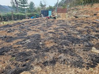 연모 자연의행복님의 기타작물 · 영농일지 작성글 사진