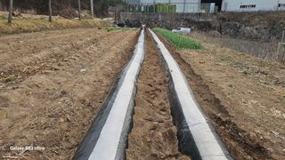 염봉섭님의 기타작물 · 영농일지 작성글 사진