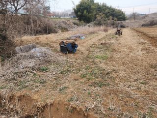벙개도리님의 기타작물 · 영농일지 작성글 사진